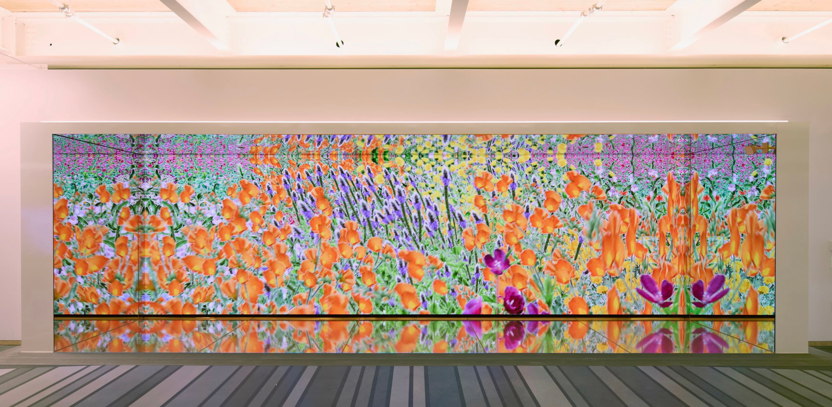 Pollinator Pathmaker wildflower artwork displayed on a wide LED wall