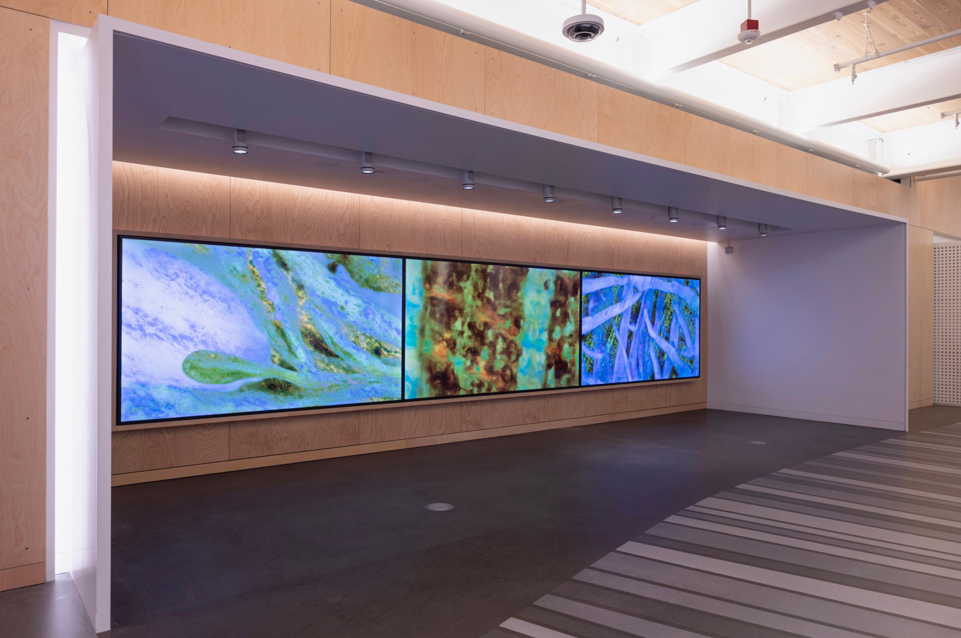 Three-panel digital artwork installed in a wood-lined Gradient Canopy corridor