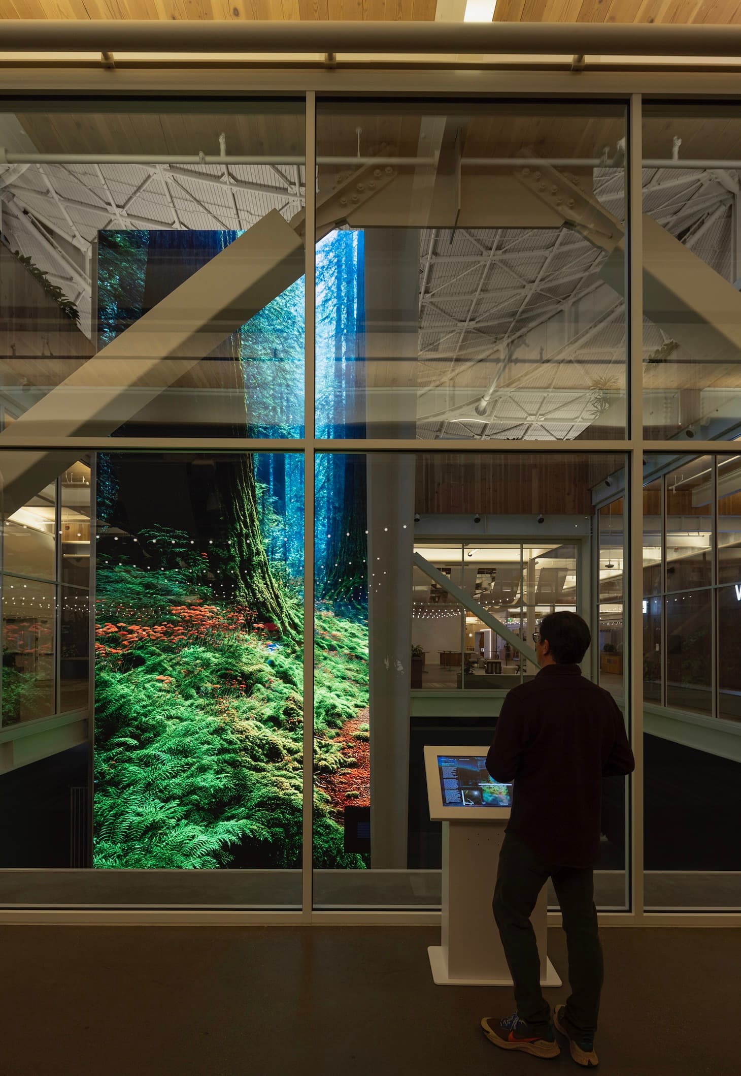 Visitor using a kiosk beside a floor-to-ceiling digital forest installation